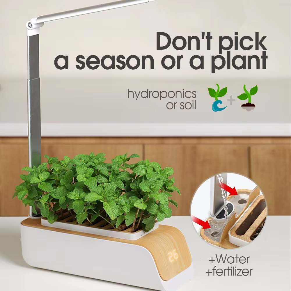 Hydroponic home Gardening 